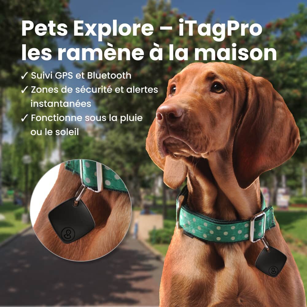 iTagPro image